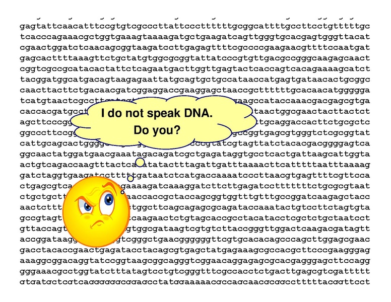 File:Peccoud Design of Synthetic Genetic Systems.pdf