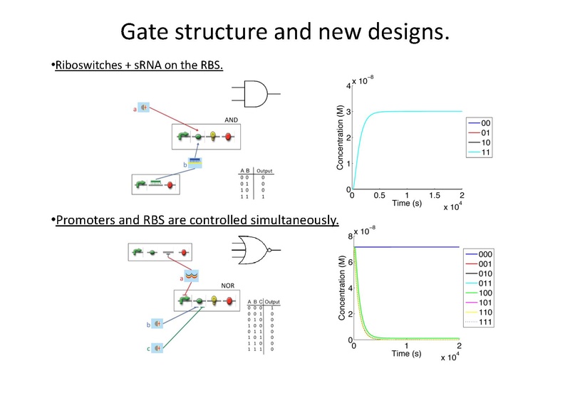 File:Marchisio Automatic Design of Digital Synthetic Gene Circuits.pdf