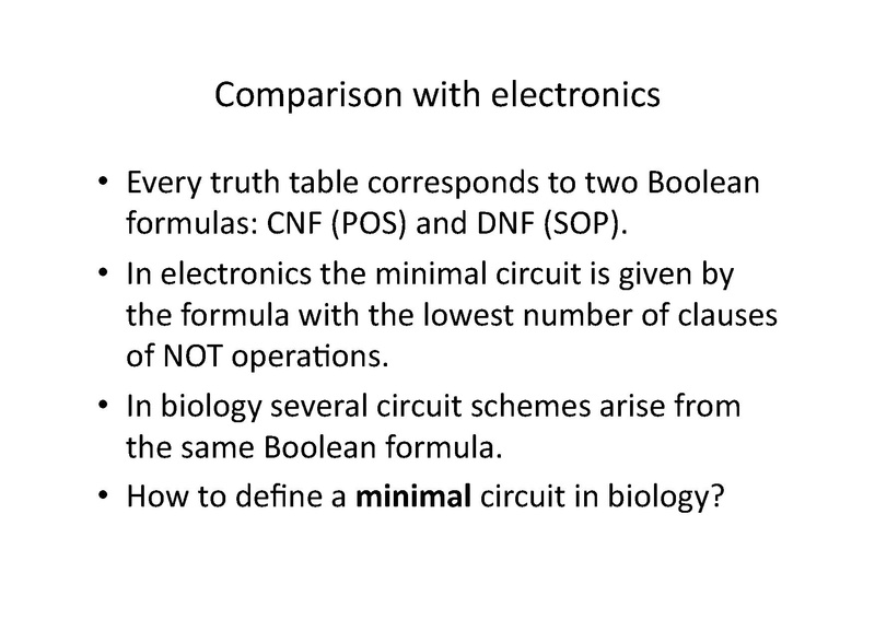 File:Marchisio Automatic Design of Digital Synthetic Gene Circuits.pdf