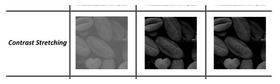 Computation on Stochastic Bit Streams: Digital Image Processing Case Studies