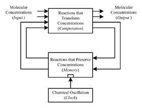 Synchronous Sequential Computation with Molecular Reactions